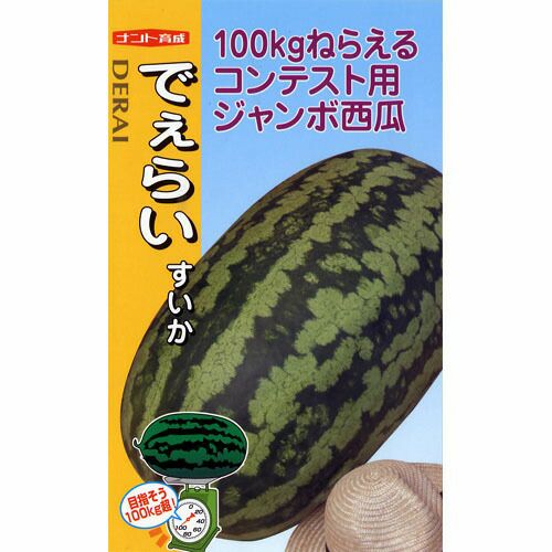 スイカ 種 【でぇらいすいか】 10粒