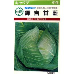キャベツ 種 【 輝吉甘監 】 種子