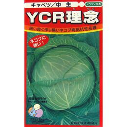 キャベツ 種 【 YCR理念 】 種子