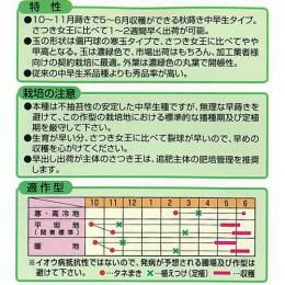 キャベツ 種 【 さつき王 】 種子 2500粒