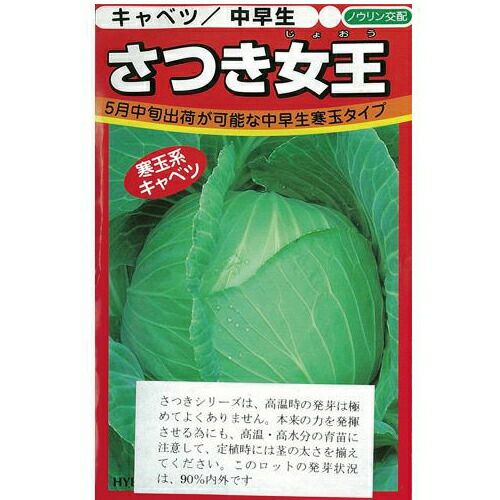 キャベツ 種 【 さつき女王 】 種子