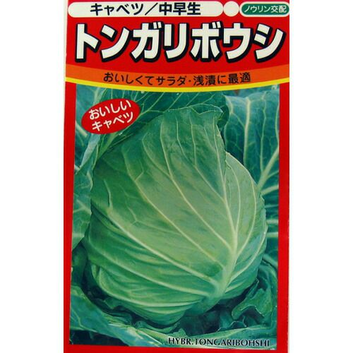 キャベツ 種 【 トンガリボウシ 】 種子 2500粒