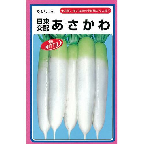 大根 種 【 あさかわ 】 種子