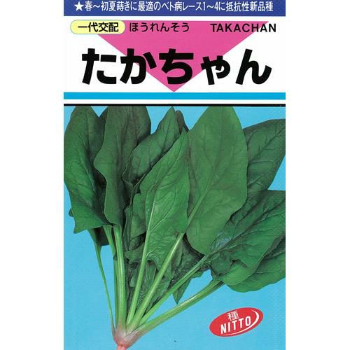 ホウレンソウ 種 【 たかちゃん４０ｍｌ 】 種子