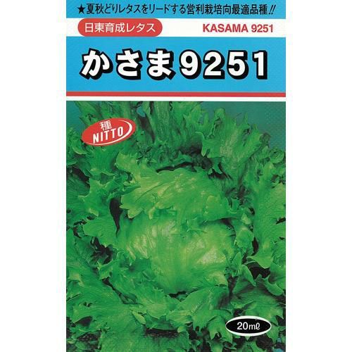 レタス 種 【 かさま９２５１ 】 種子 ２０ｍｌ