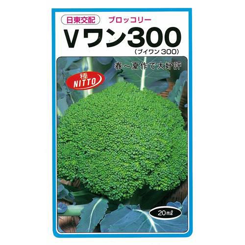 ブロッコリー 種 【 Ｖワン３００ 】 種子 ２０ｍｌ