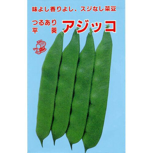 つるありいんげん 種 【つるあり平莢】 50ml