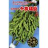 枝豆 種 【 千茶枝豆 】 種子