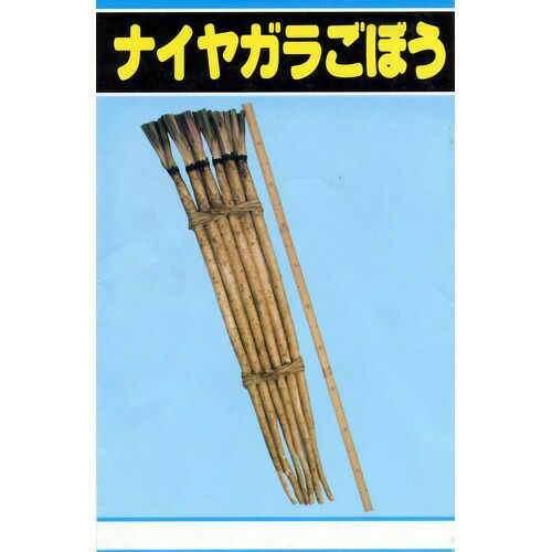 ごぼう 種 【 ナイアガラ 】 種子