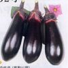 なす 種 【ふくつばめ2号】 1.2ml