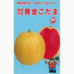 スイカ 種 【黄金こだま2号】 10粒