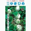 メロン 種 【ゆきひめ】 10粒