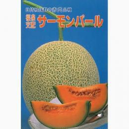 メロン 種 【サーモンパール】 8粒