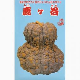 かぼちゃ 種 【鹿ヶ谷南瓜】 50ml