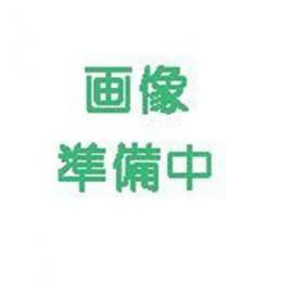かぼちゃ 種 【打木甘栗】 1dl