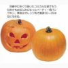 かぼちゃ 種 【ハローウィーン】 50ml