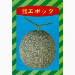 メロン 種 【エポック】 50粒