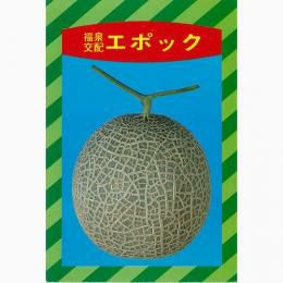 メロン 種 【エポック】 100粒