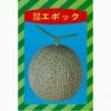 メロン 種 【エポック】 100粒