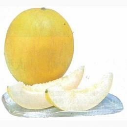 メロン 種 【太陽】 8粒