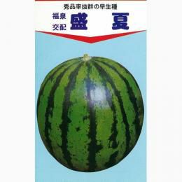 スイカ 種 【盛夏】 200粒