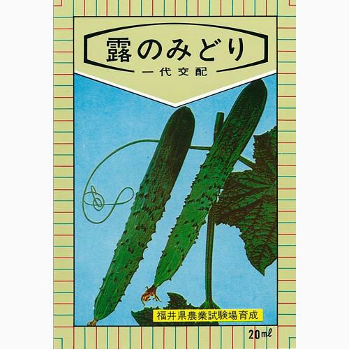 きゅうり 種 【露のみどり】 5ml