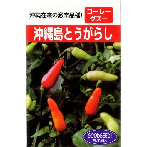 唐辛子 種 【沖縄島とうがらし】 約2ml