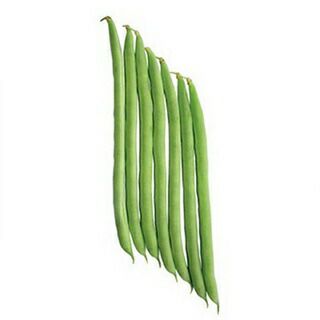 つるありいんげん 種 【ナリブシ】 1dl