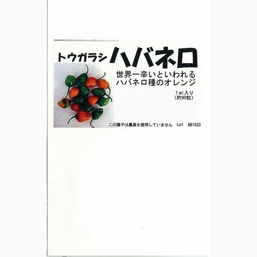 唐辛子 種 【ハバネロ（オレンジ）】 1,000粒