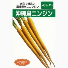 にんじん 種 【 沖縄島人参 】 種子