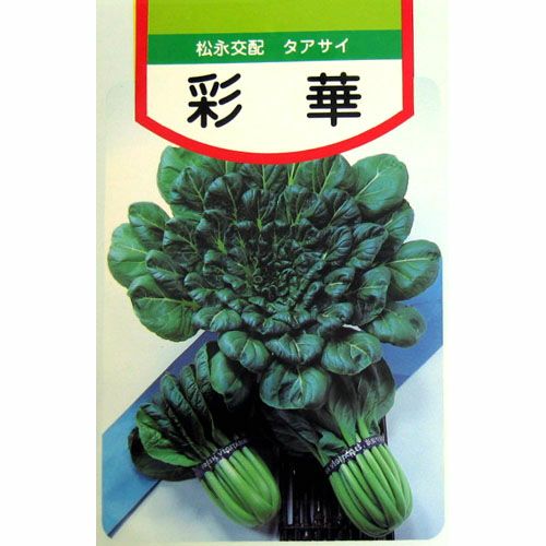 つみ菜 種 【 彩華 】 種子