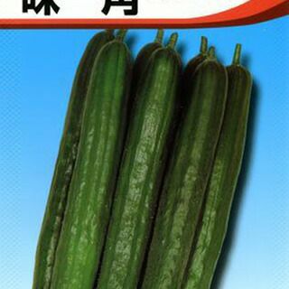 きゅうり 種 【味一角】 18粒