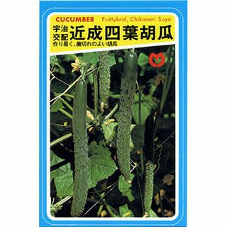 きゅうり 種 【近成四葉】 2ml