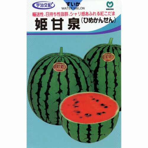 スイカ 種 【姫甘泉 (ひめかんせん)】 8粒