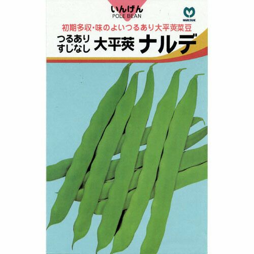 つるありいんげん 種 【すじなし大平莢ナルデ】 20ml