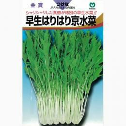 水菜 種 【 早生はりはり605京水菜 】 種子