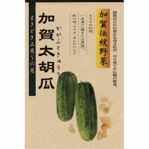 きゅうり 種 【加賀太胡瓜】 2ml