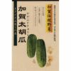 きゅうり 種 【加賀太胡瓜】 2ml