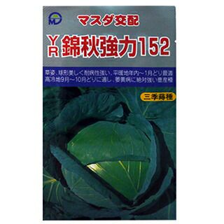 キャベツ 種 【 YR錦秋強力152 】 種子 20ml