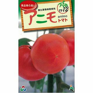 大玉トマト 種 【Ｆ１アニモ】 1,000粒