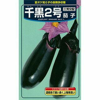 なす 種 【千黒２号】 20ml