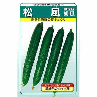 きゅうり 種 【松風】 20ml