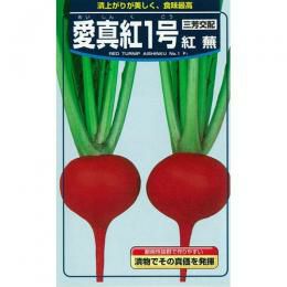 カブ 種 【 愛真紅1号蕪 】 種子 2dl缶