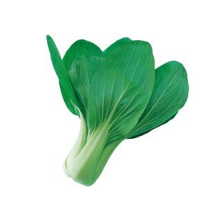 ちんげん菜 種 【 醍醐味 】 種子 2dl