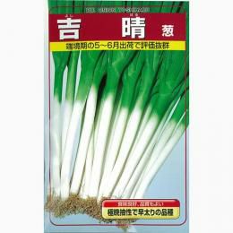 ネギ 種 【 吉晴 】 種子 2dl