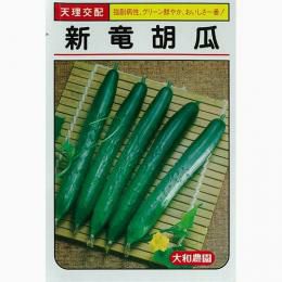きゅうり 種 【新竜】 17粒
