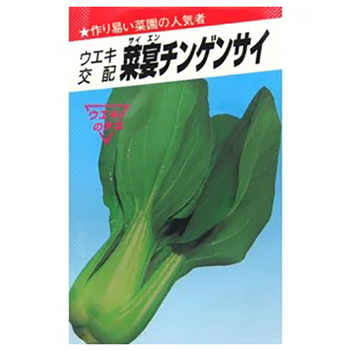 ちんげん菜 種 【 菜宴チンゲンサイ 】 種子