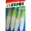 大根 種 【 はるか総太 】 種子