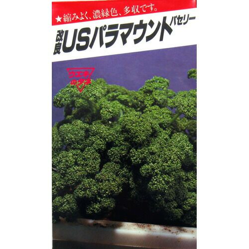 パセリ 種 【 改良USパラマウント 】 種子