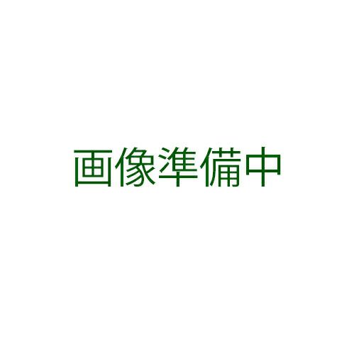 ちんげん菜 種 【 菜州チンゲンサイ 】 種子